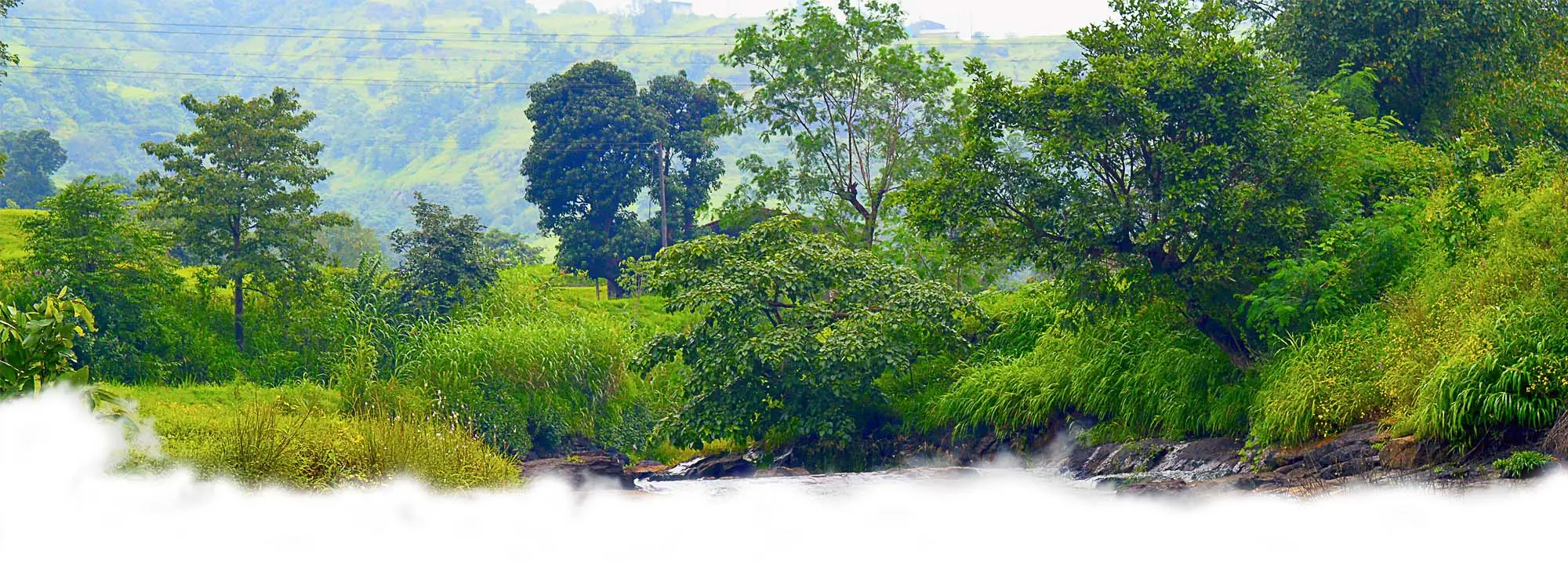 bhimashankar wilderness