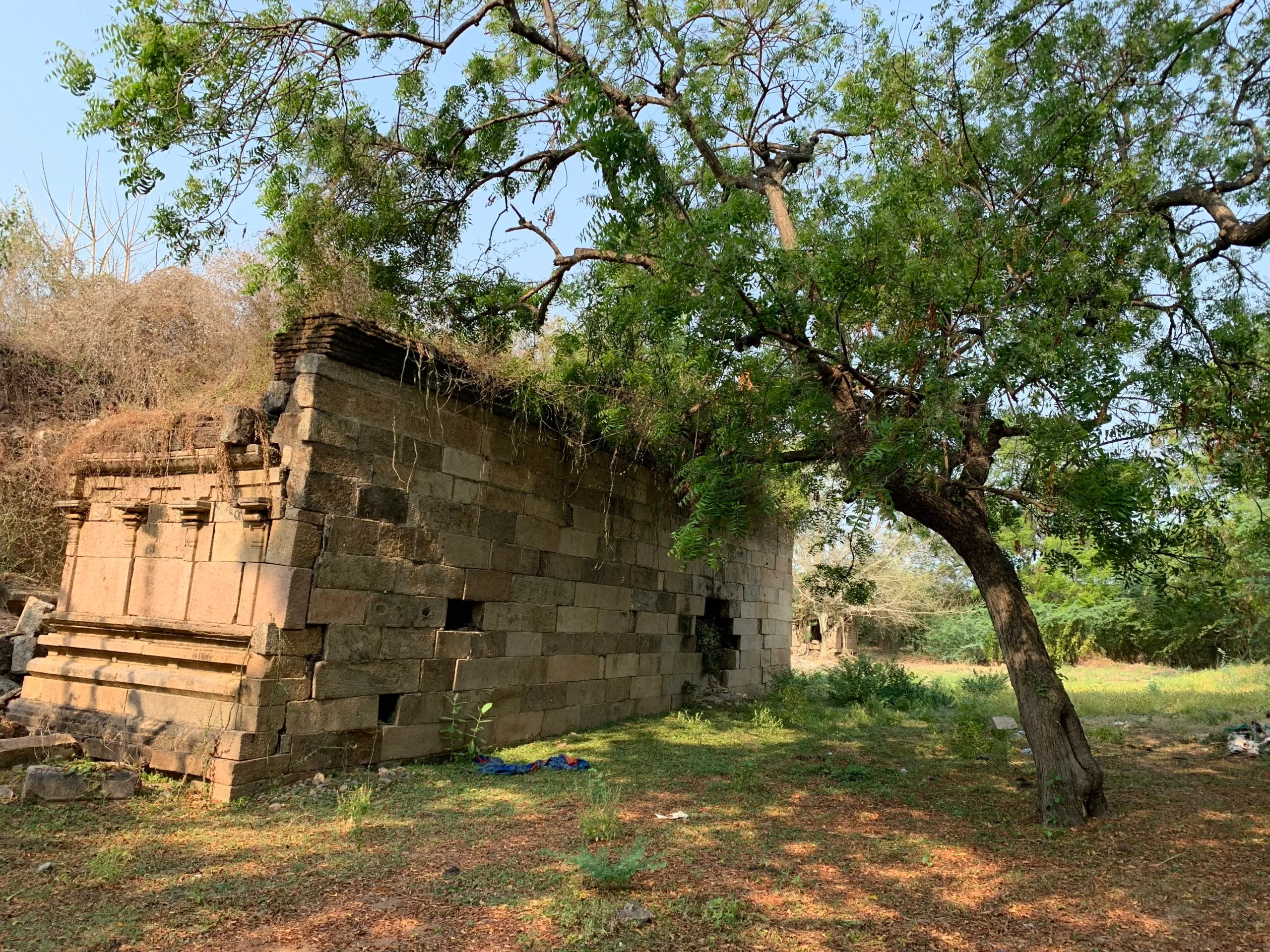 golden perumal and Lakshmi temple